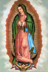 画像: フィデスポストカード MADONNA GUADALUPE (5枚組) ※返品不可商品