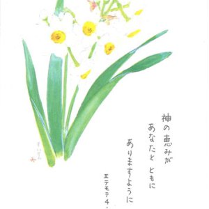 画像: 花と祈りポストカード　すいせん （5枚組）